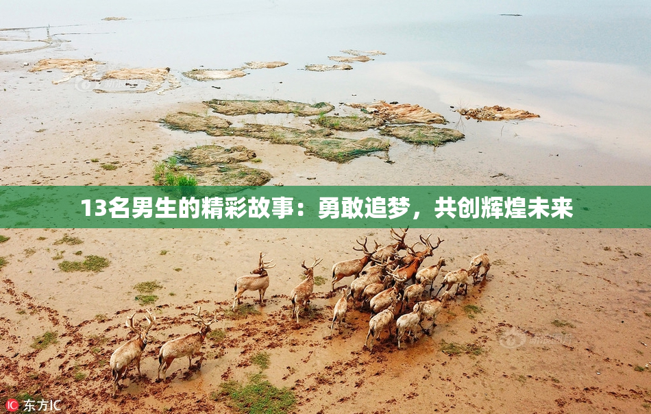 13名男生的精彩故事：勇敢追梦，共创辉煌未来