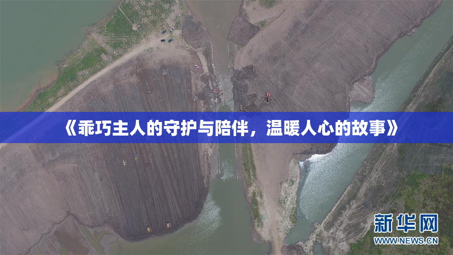 《乖巧主人的守护与陪伴，温暖人心的故事》