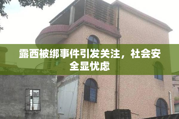 露西被绑事件引发关注，社会安全显忧虑