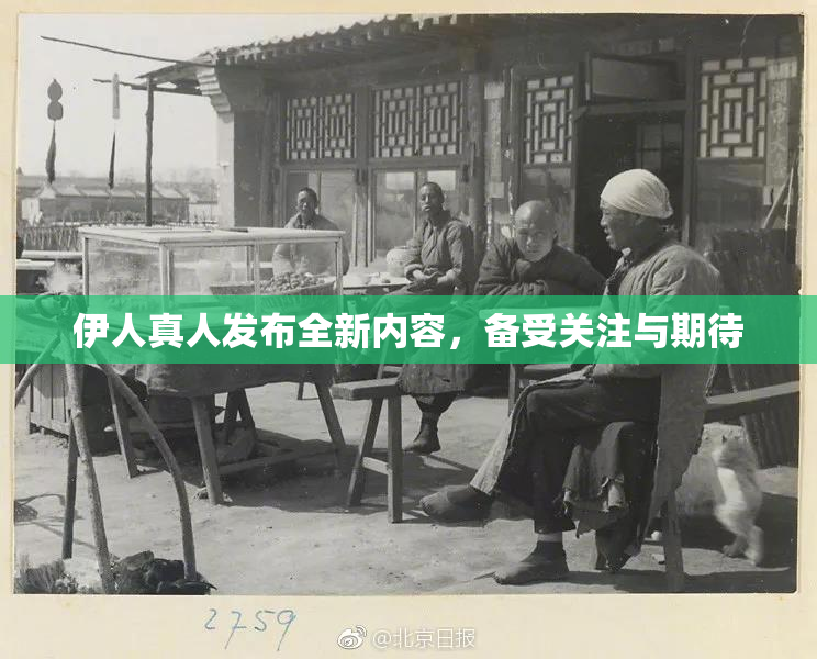 伊人真人发布全新内容，备受关注与期待
