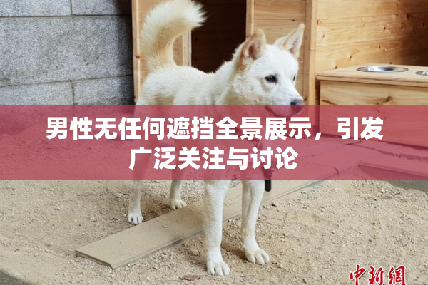 男性无任何遮挡全景展示，引发广泛关注与讨论