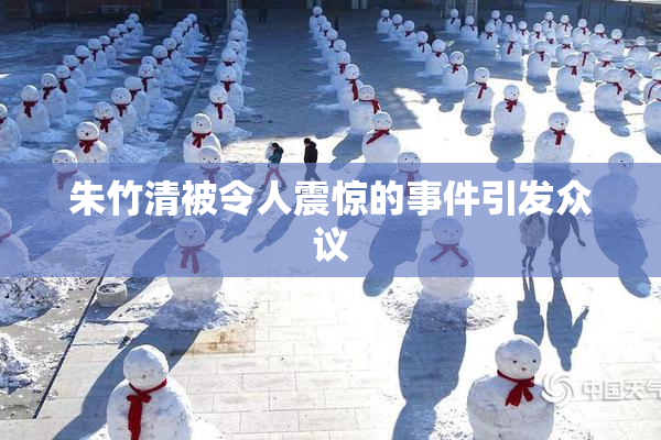 朱竹清被令人震惊的事件引发众议