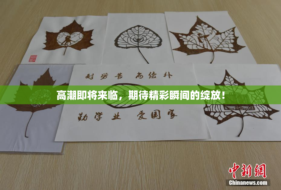 高潮即将来临，期待精彩瞬间的绽放！