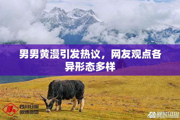 男男黄漫引发热议，网友观点各异形态多样