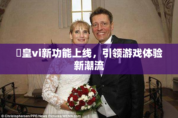 嘼皇vi新功能上线，引领游戏体验新潮流