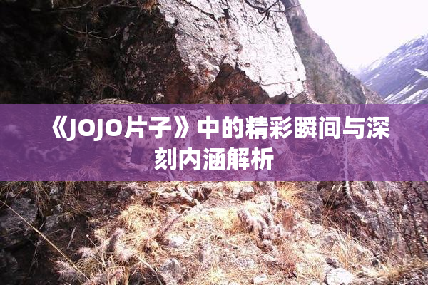 《JOJO片子》中的精彩瞬间与深刻内涵解析