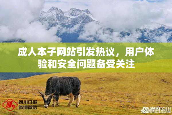 成人本子网站引发热议，用户体验和安全问题备受关注