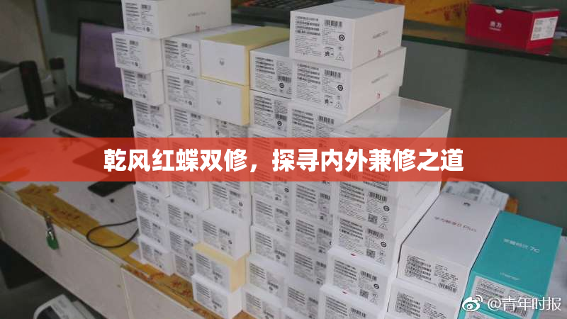 乾风红蝶双修，探寻内外兼修之道