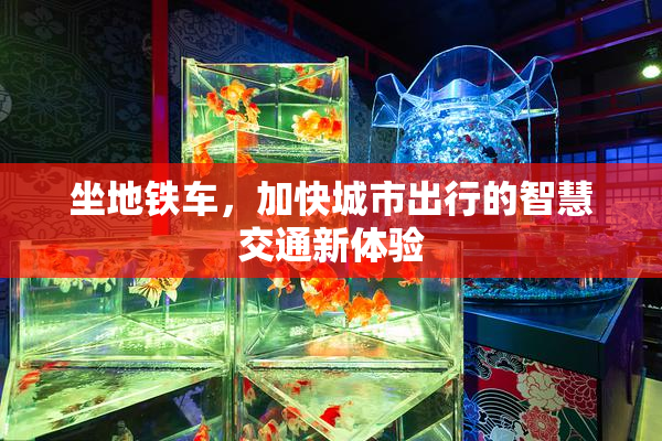 坐地铁车，加快城市出行的智慧交通新体验
