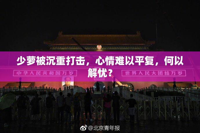 少萝被沉重打击，心情难以平复，何以解忧？