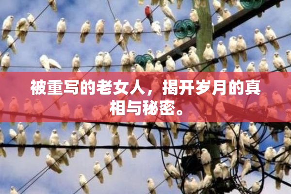 被重写的老女人，揭开岁月的真相与秘密。