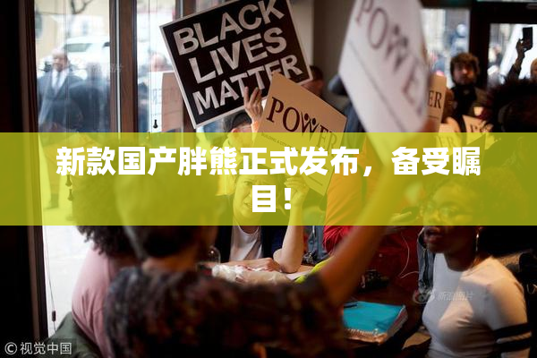 新款国产胖熊正式发布，备受瞩目！