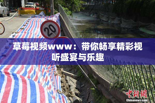 草莓视频www：带你畅享精彩视听盛宴与乐趣