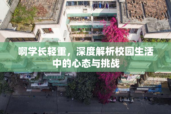 啊学长轻重，深度解析校园生活中的心态与挑战