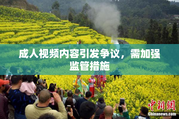 成人视频内容引发争议，需加强监管措施