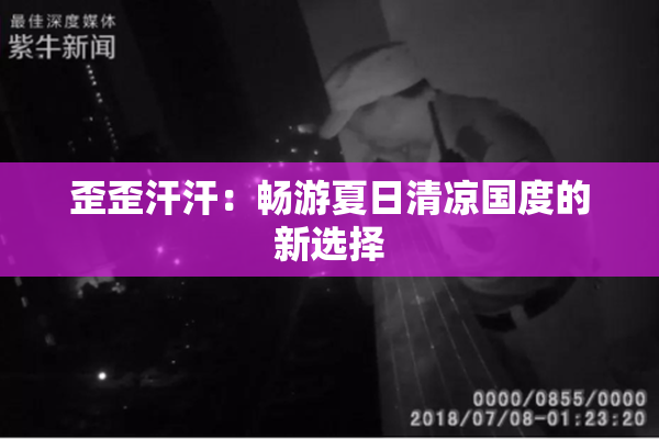 歪歪汗汗：畅游夏日清凉国度的新选择