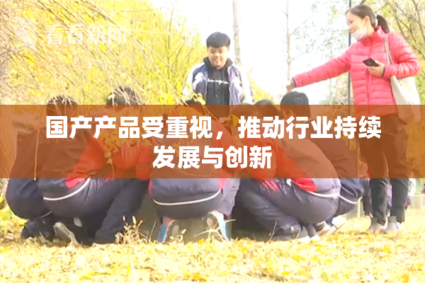 国产产品受重视，推动行业持续发展与创新