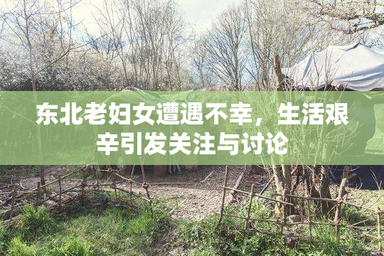 东北老妇女遭遇不幸，生活艰辛引发关注与讨论