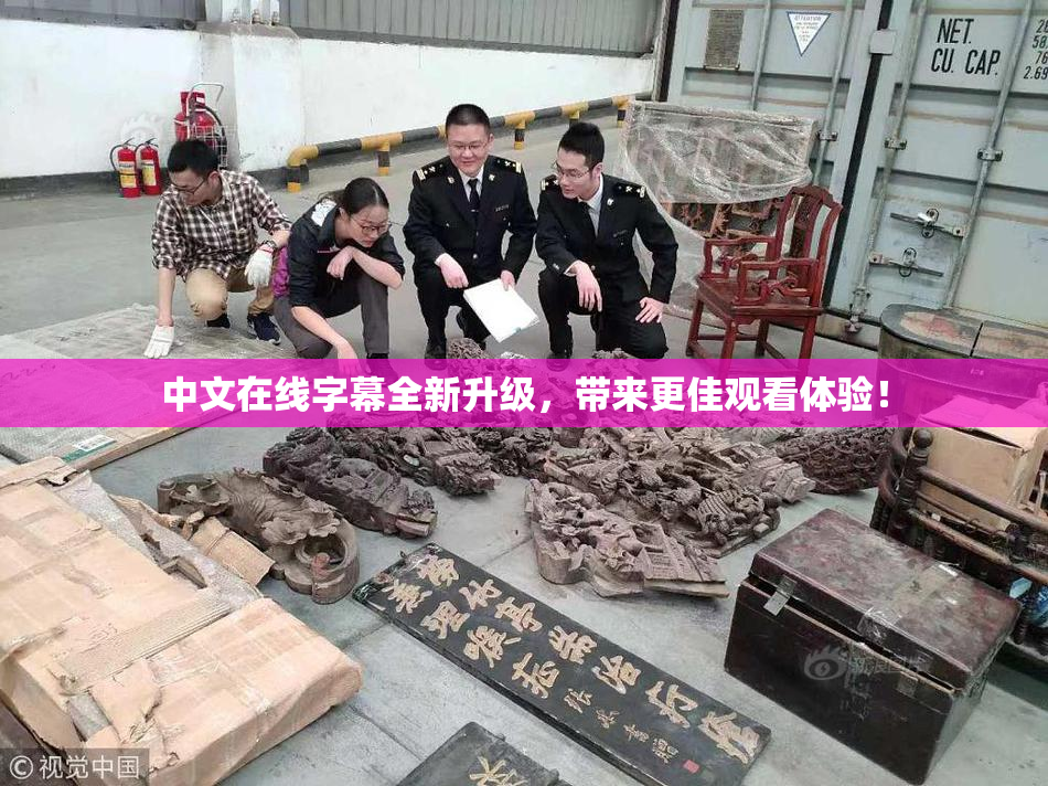 中文在线字幕全新升级，带来更佳观看体验！