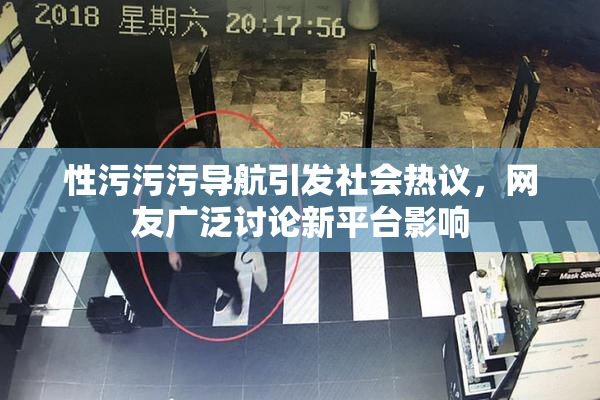 性污污污导航引发社会热议，网友广泛讨论新平台影响
