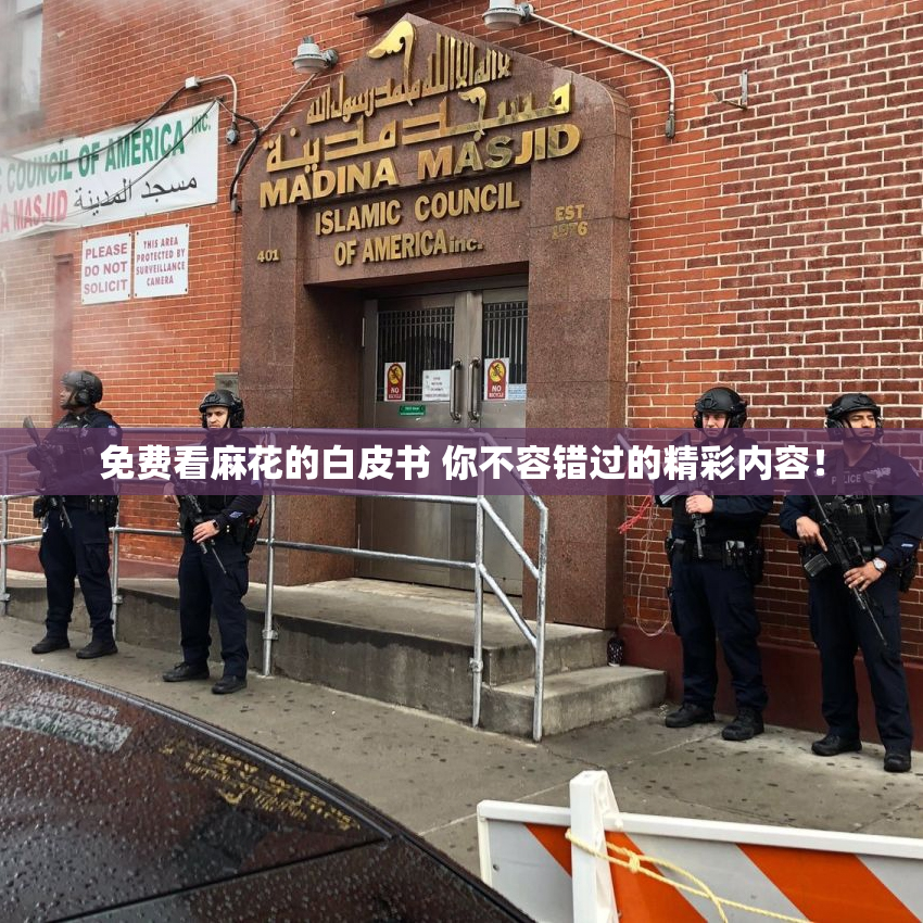 免费看麻花的白皮书 你不容错过的精彩内容！