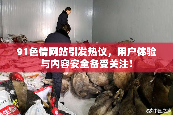 91色情网站引发热议，用户体验与内容安全备受关注！