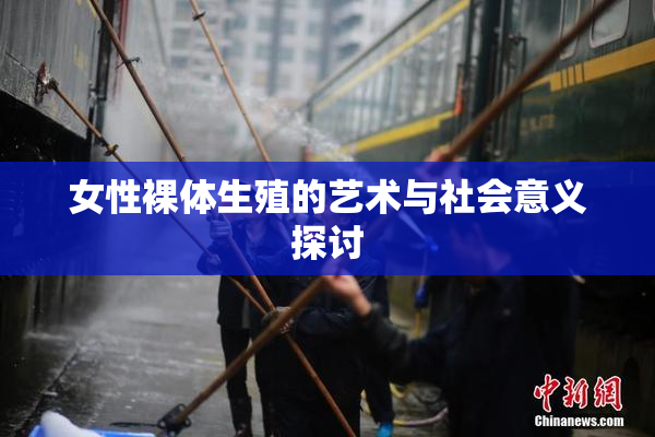 女性裸体生殖的艺术与社会意义探讨
