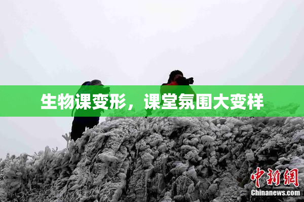 生物课变形，课堂氛围大变样