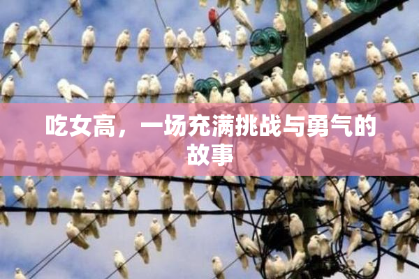 吃女高，一场充满挑战与勇气的故事