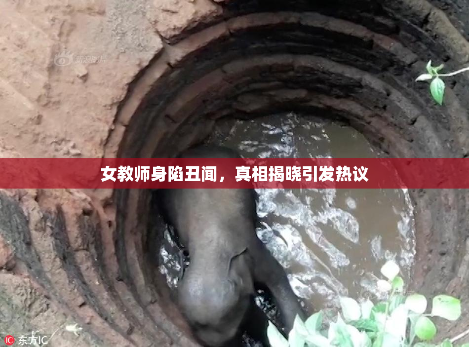 女教师身陷丑闻，真相揭晓引发热议