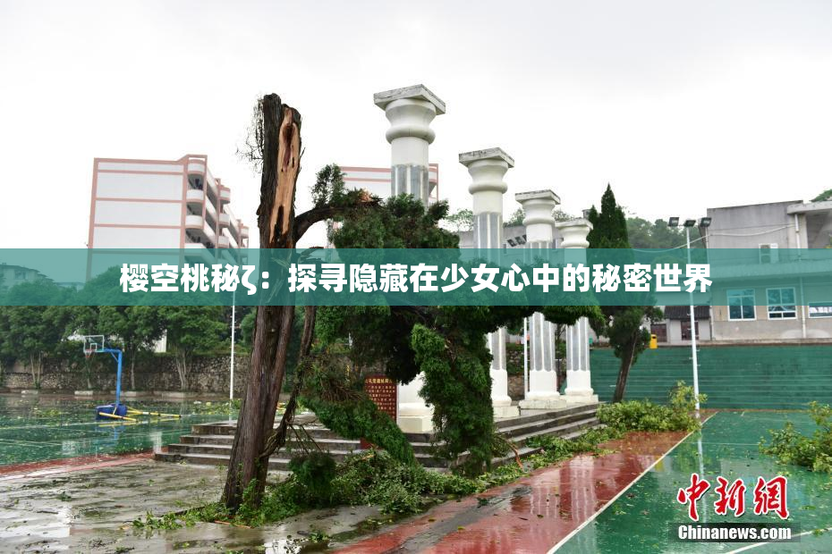 樱空桃秘ζ：探寻隐藏在少女心中的秘密世界