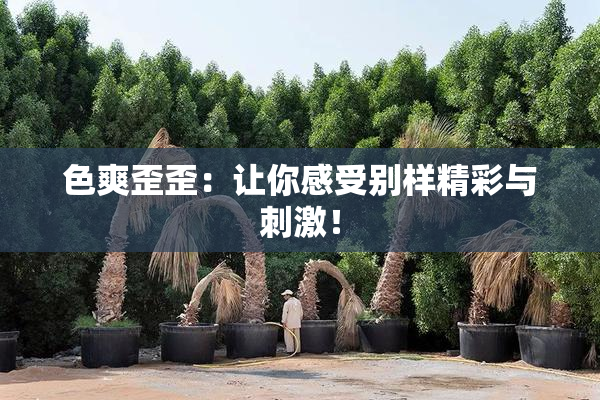 色爽歪歪：让你感受别样精彩与刺激！