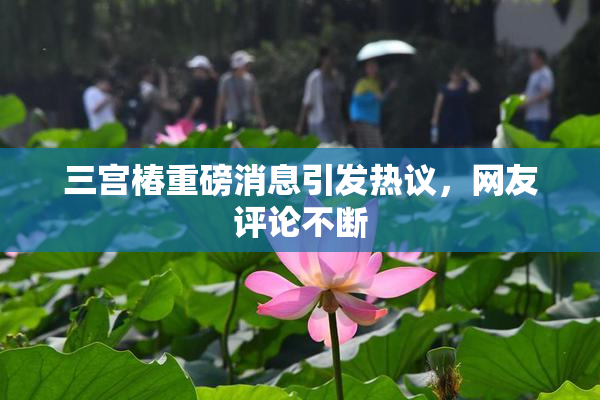 三宫椿重磅消息引发热议，网友评论不断