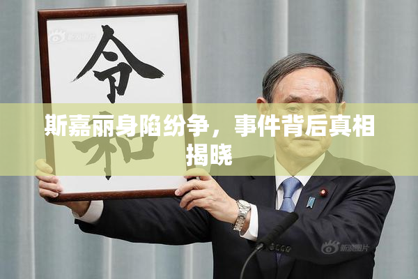 斯嘉丽身陷纷争，事件背后真相揭晓