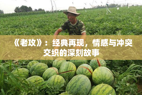 《老攻》：经典再现，情感与冲突交织的深刻故事