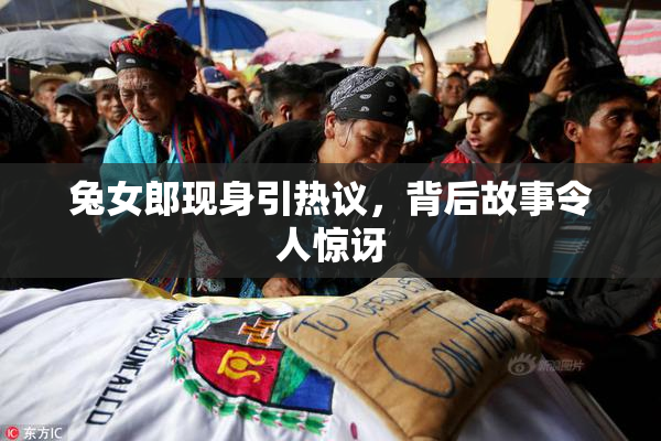 兔女郎现身引热议，背后故事令人惊讶