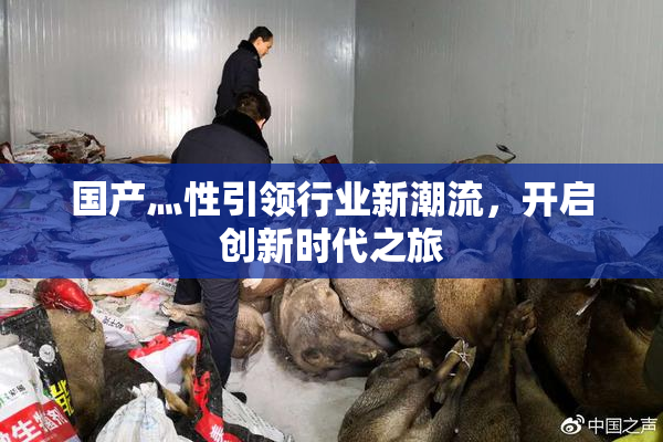 国产灬性引领行业新潮流，开启创新时代之旅