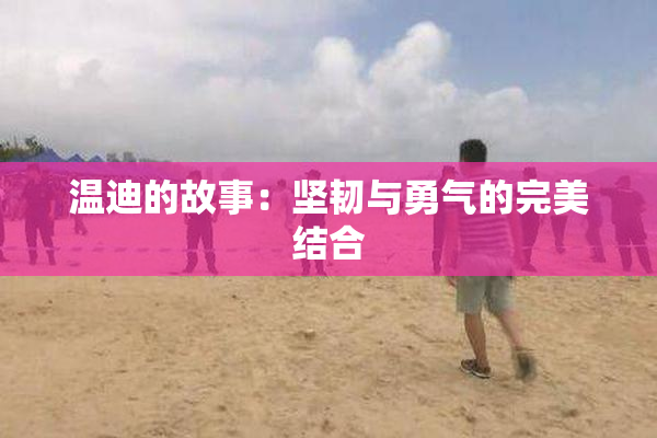 温迪的故事：坚韧与勇气的完美结合