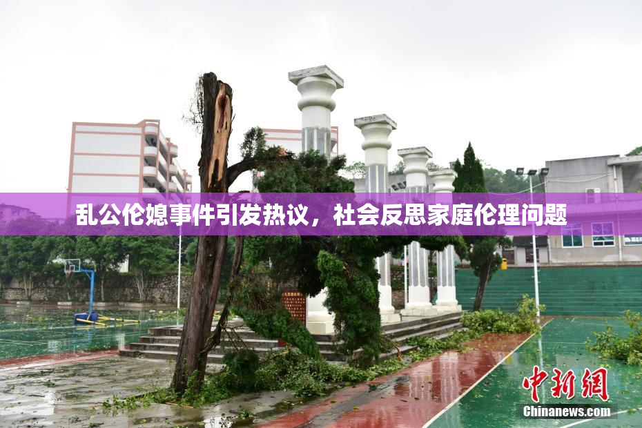 乱公伦媳事件引发热议，社会反思家庭伦理问题