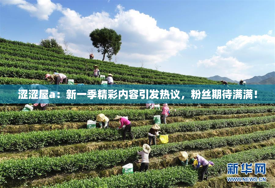 涩涩屋a：新一季精彩内容引发热议，粉丝期待满满！