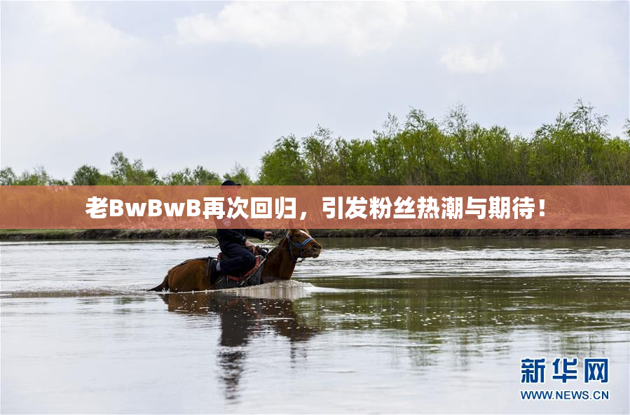 老BwBwB再次回归，引发粉丝热潮与期待！