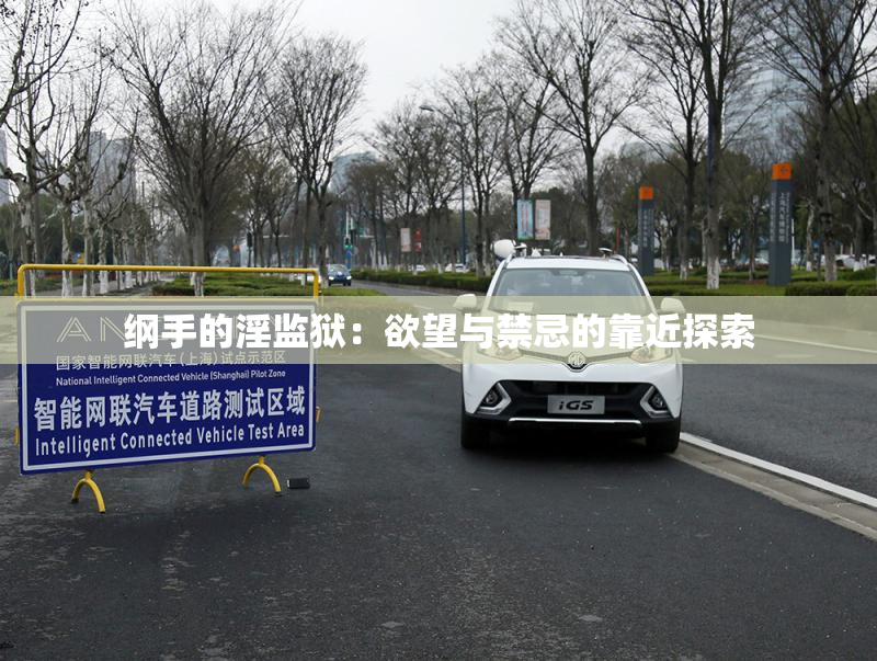 纲手的淫监狱：欲望与禁忌的靠近探索