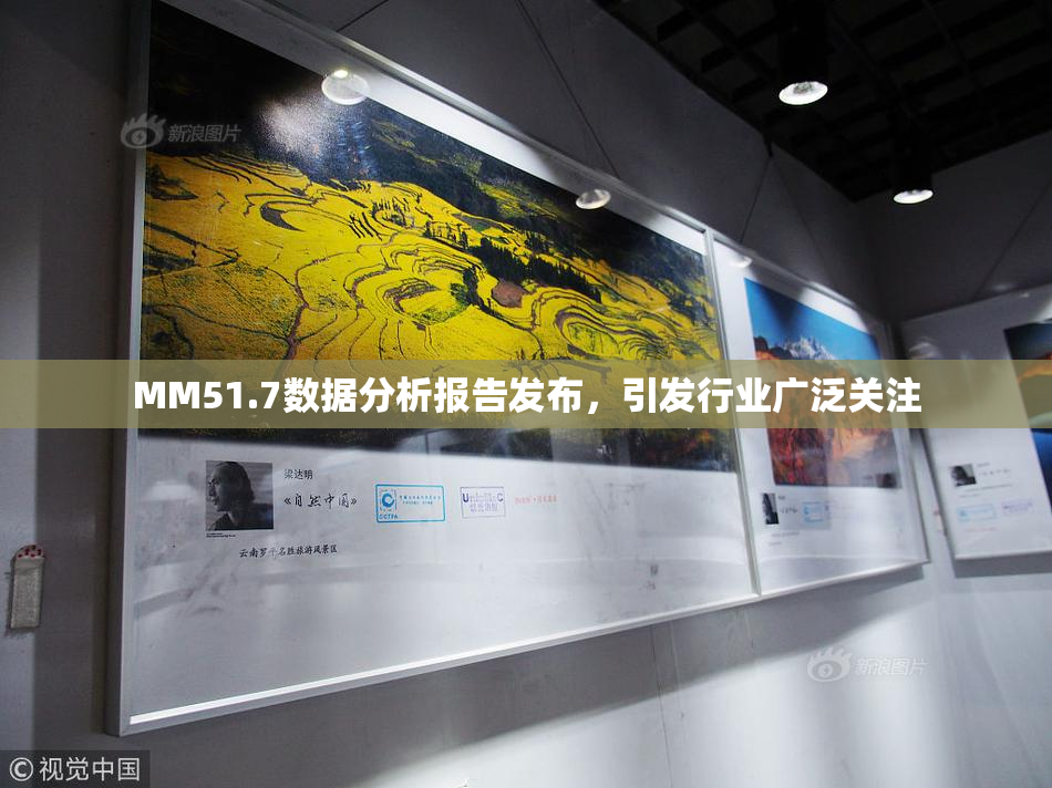 MM51.7数据分析报告发布，引发行业广泛关注