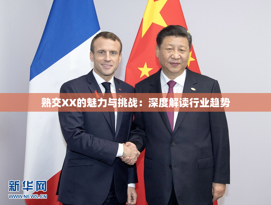 熟交XX的魅力与挑战：深度解读行业趋势