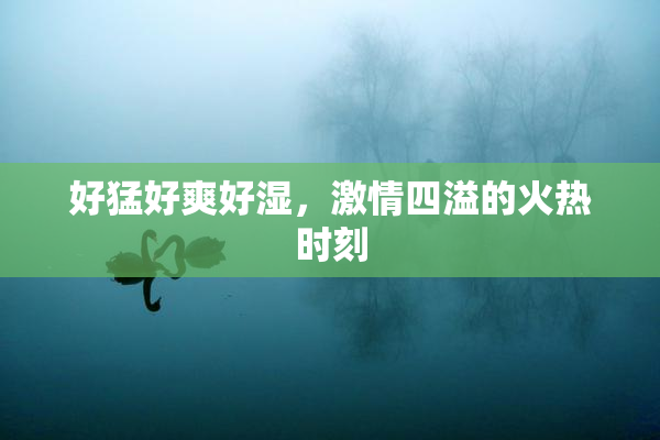 好猛好爽好湿，激情四溢的火热时刻