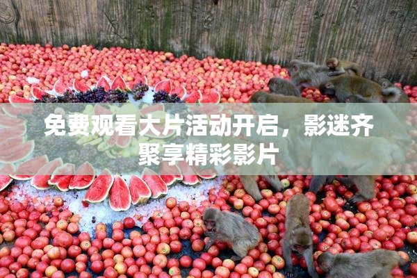 免费观看大片活动开启，影迷齐聚享精彩影片