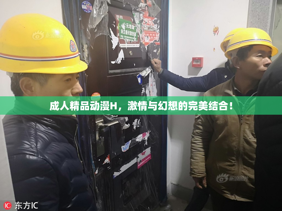 成人精品动漫H，激情与幻想的完美结合！