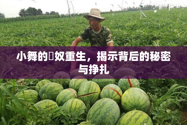 小舞的婬奴重生，揭示背后的秘密与挣扎