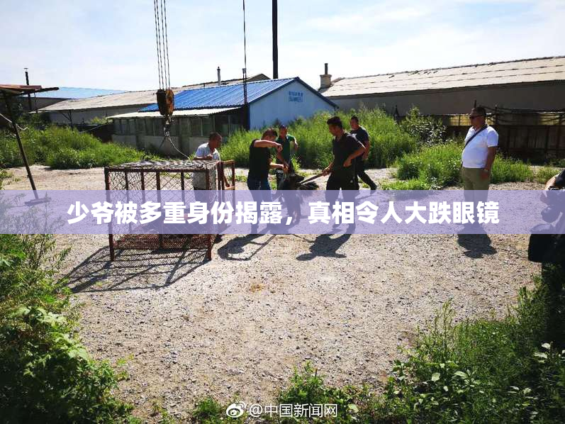 少爷被多重身份揭露，真相令人大跌眼镜