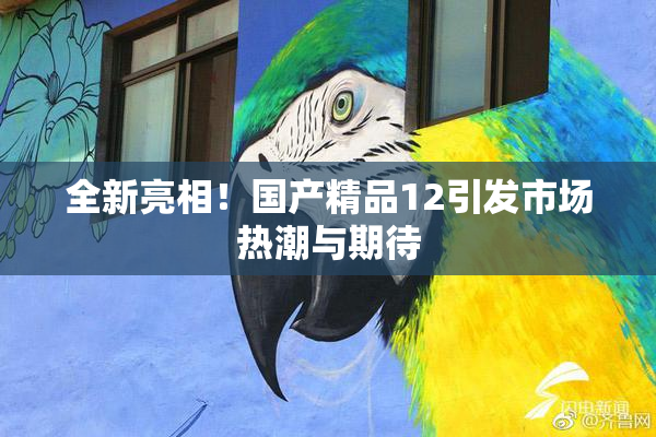 全新亮相！国产精品12引发市场热潮与期待